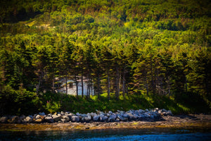 My Photography Editing Workflow: From RAW File to Finished Image