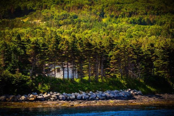 My Photography Editing Workflow: From RAW File to Finished Image