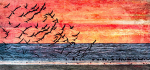Digital Imagery From Digital Photography: Creating the Unexpected