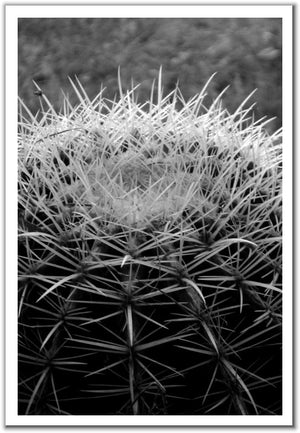 Photo Quest Challenge #2