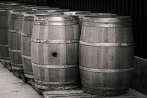 Barrels of Fun