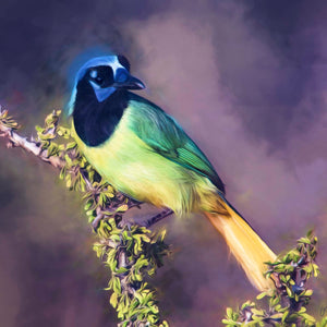Sharp-Eyed Green Jay by Carol Fox Henrichs
