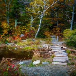 Whispers of Autumn by Carol Fox Henrichs