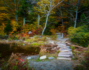 Whispers of Autumn by Carol Fox Henrichs