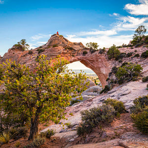 Window Rock by Carol Fox Henrichs