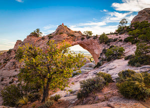 Window Rock — Seen from atop the cliffs behind the opening, a sandstone arch curves across the ridge