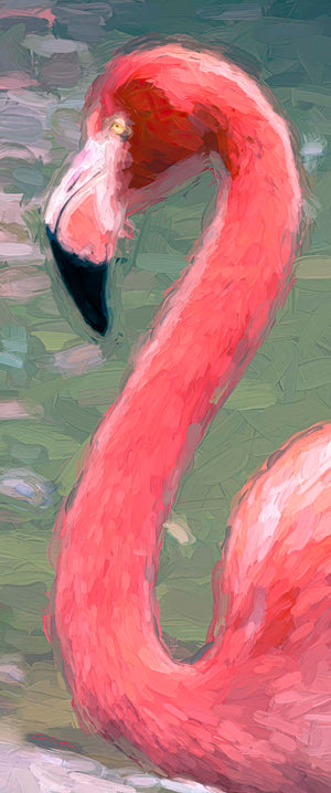 Pinko Flamingo #1 by Carol Fox Henrichs