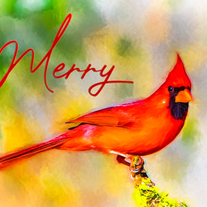Holiday Cardinal by Carol Fox Henrichs