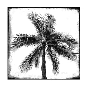 Palm Silhouette - Distressed B&W by Carol Fox Henrichs