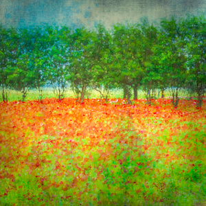 Where Poppies Dream by Carol Fox Henrichs