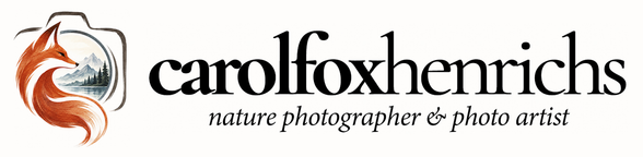 Carol Fox Henrichs Photography & Art