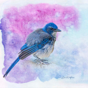 Shake It Off by Carol Fox Henrichs