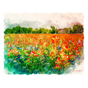 Flowers Forever — a watercolor-style Texas wildflower field near La Grange, by Carol Fox Henrichs