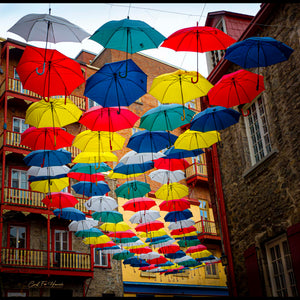 Umbrella Alley by Carol Fox Henrichs