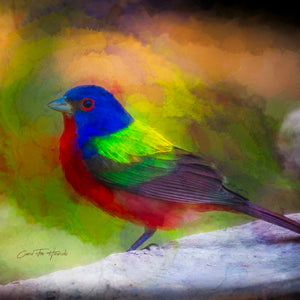 Used ALL the Colors -- Not Sorry! by Carol Fox Henrichs