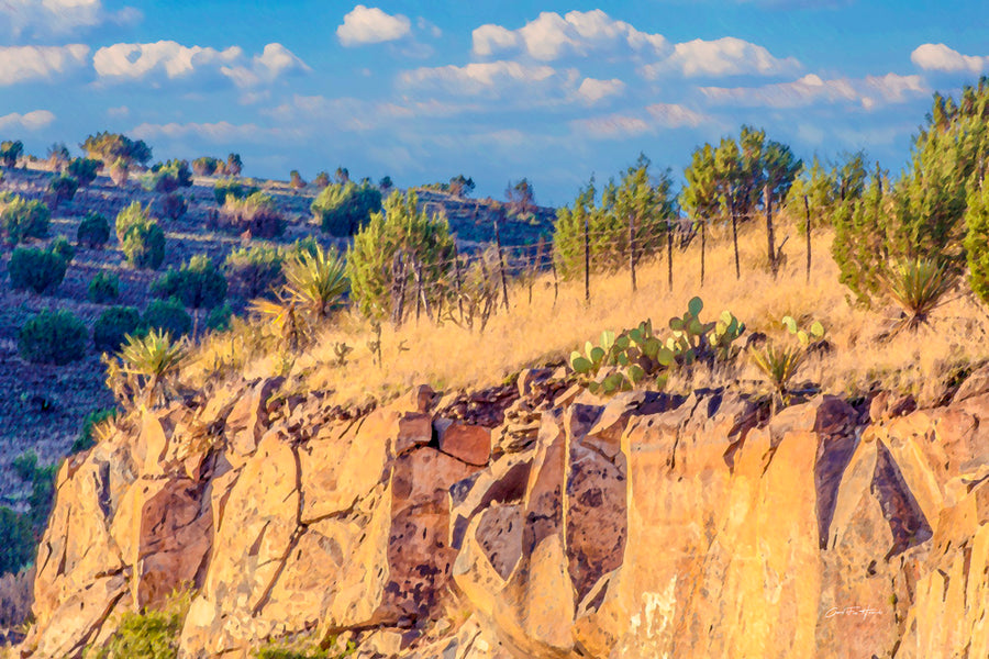 Chihuahuan Desert — ochre cliffs and canyon near Alpine, Texas, by Carol Fox Henrichs