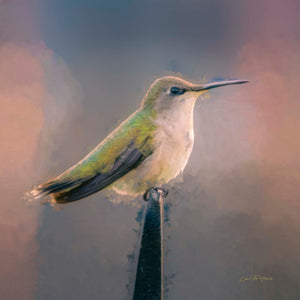 Sentinel Hummer by Carol Fox Henrichs