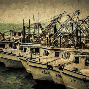 Safe Harbor — shrimp boats docked in Rockport, Texas, by Carol Fox Henrichs