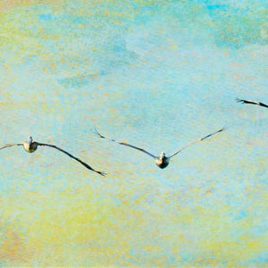 Morning Flight In by Carol Fox Henrichs