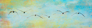 Morning Flight In by Carol Fox Henrichs
