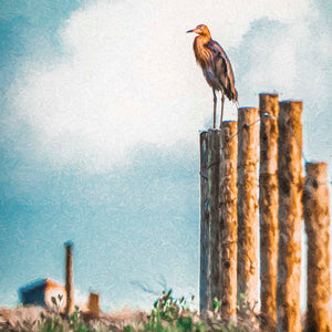 Sunrise Sentry by Carol Fox Henrichs