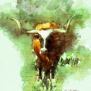 Longhorn Splash by Carol Fox Henrichs