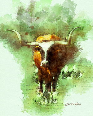 Longhorn Splash by Carol Fox Henrichs