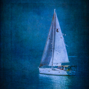 Moonlight Sail by Carol Fox Henrichs