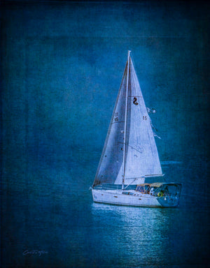 Moonlight Sail by Carol Fox Henrichs